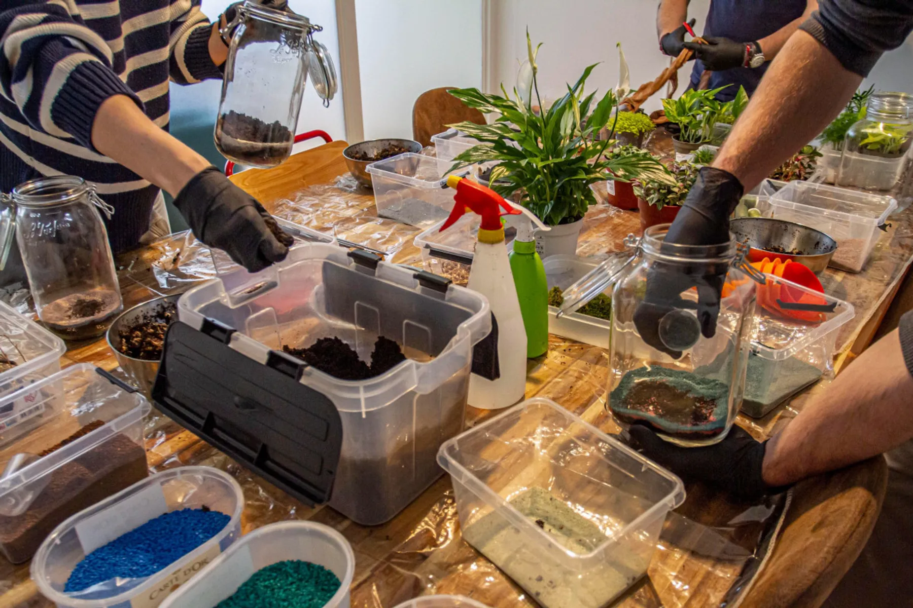 Composez votre petit terrarium - Afbeelding nr. 3 - Wecandoo