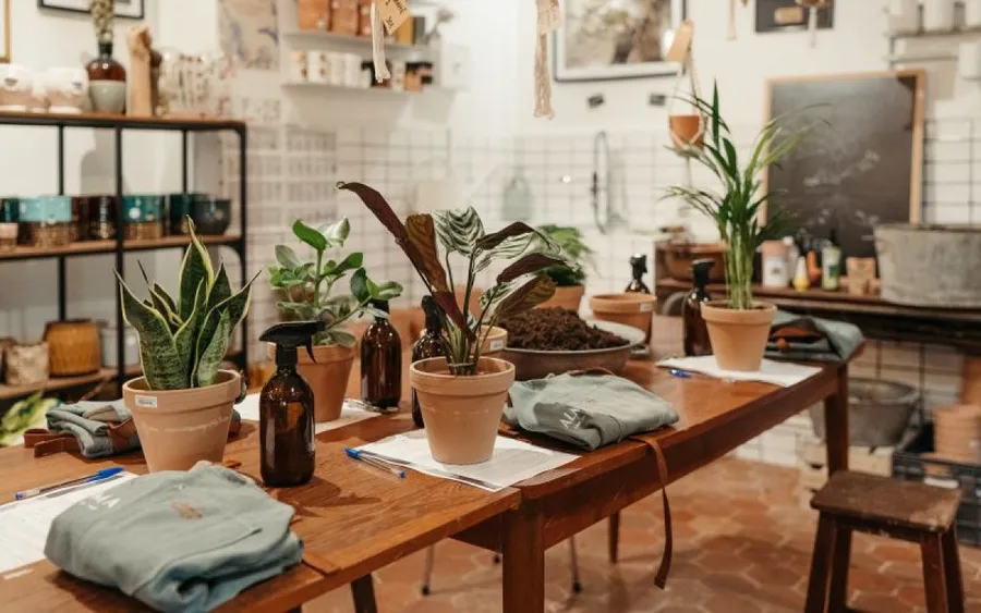 Apprenez 2 techniques de bouture de plantes d'intérieur - Image n°1 - Wecandoo