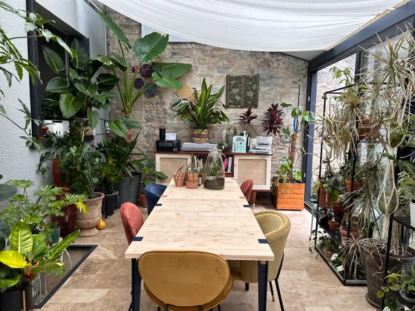 Réalisez votre kokedama - Image n°1 - Wecandoo