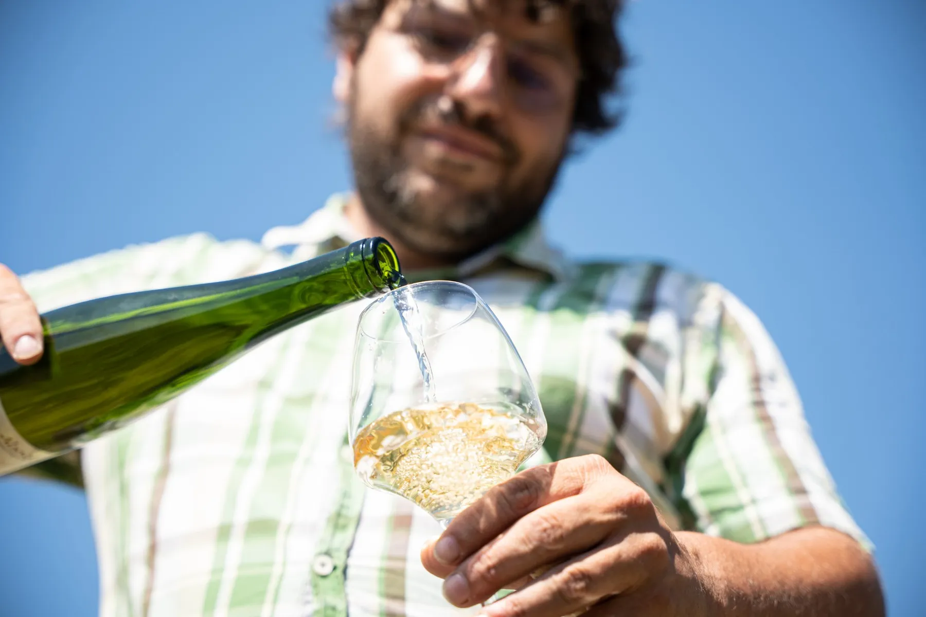 Visitez un vignoble bio et initiez-vous à la dégustation de vins alsaciens - Image n°2 - Wecandoo