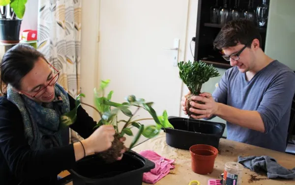 Créez votre kokedama - Image n°2 - Wecandoo