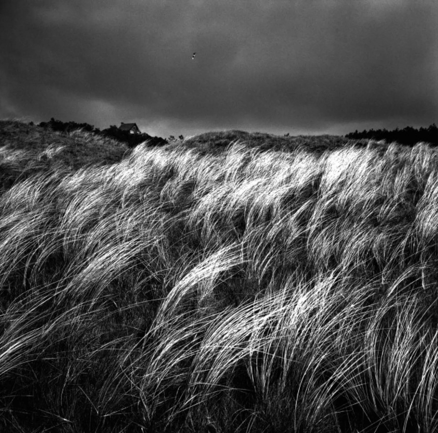 Développez et tirez vos films argentiques - Image n°4 - Wecandoo