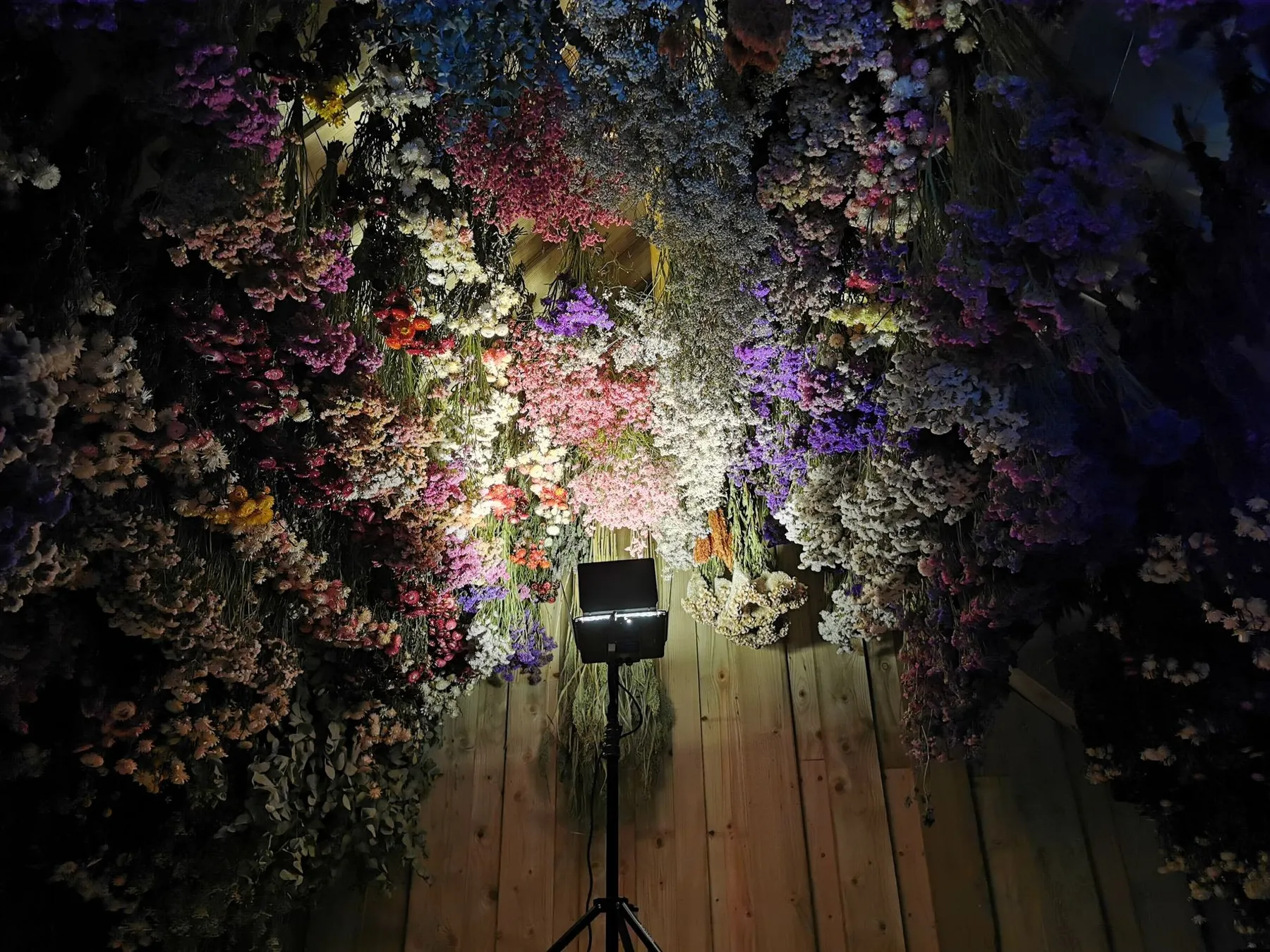 Découvrez l'art floral et visitez une ferme horticole avec Thomas et Charlotte - Afbeelding nr. 4 - Wecandoo