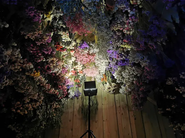 Découvrez l'art floral et visitez une ferme horticole avec Thomas et Charlotte - Image n°4 - Wecandoo