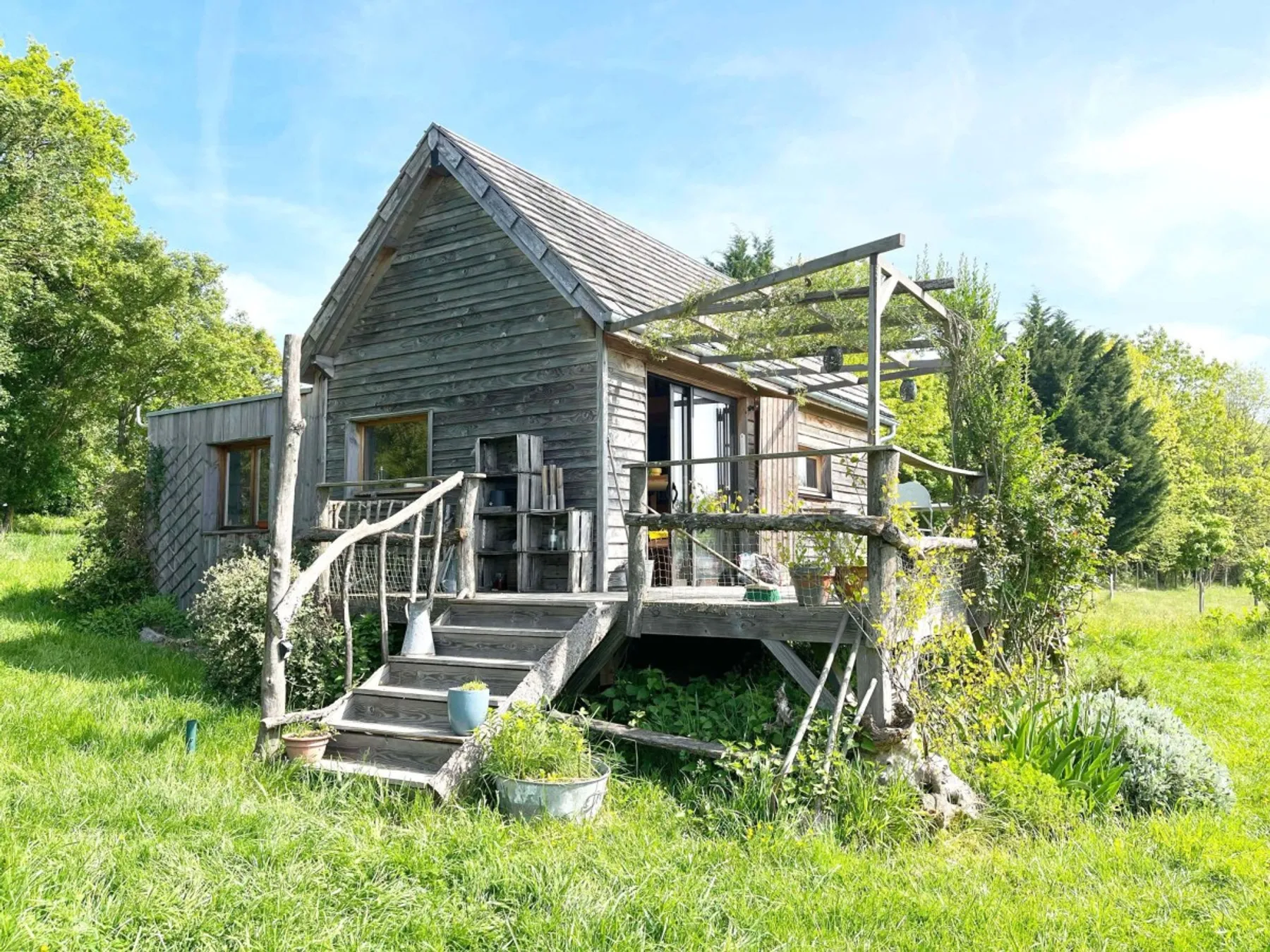 Cuisinez des plantes et fleurs aromatiques et composez votre tisane - Image n°1 - Wecandoo