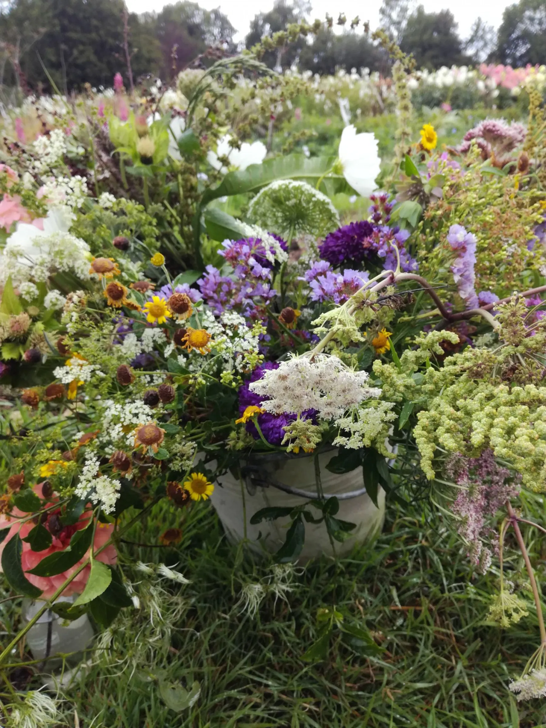 Réalisez votre bouquet de fleurs naturelles, locales et bio - Image n°4 - Wecandoo