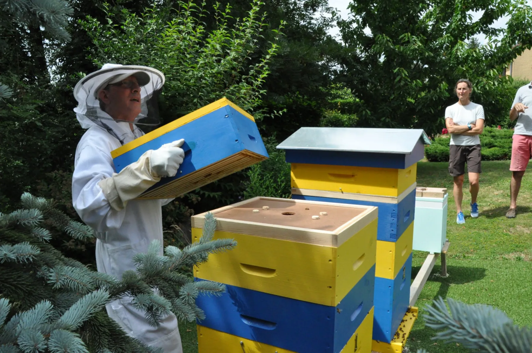 Une journée dans la vie d'un apiculteur - Afbeelding nr. 5 - Wecandoo