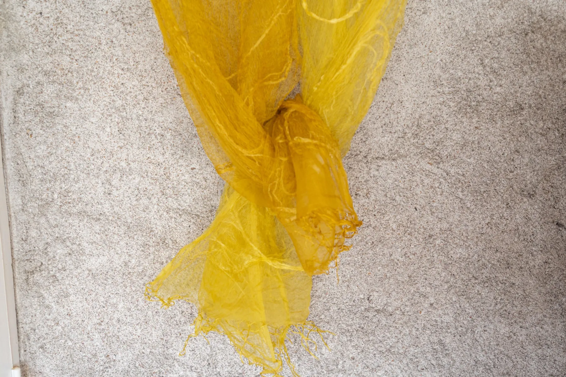 Initiez-vous à la teinture végétale au bouillon - Image n°4 - Wecandoo