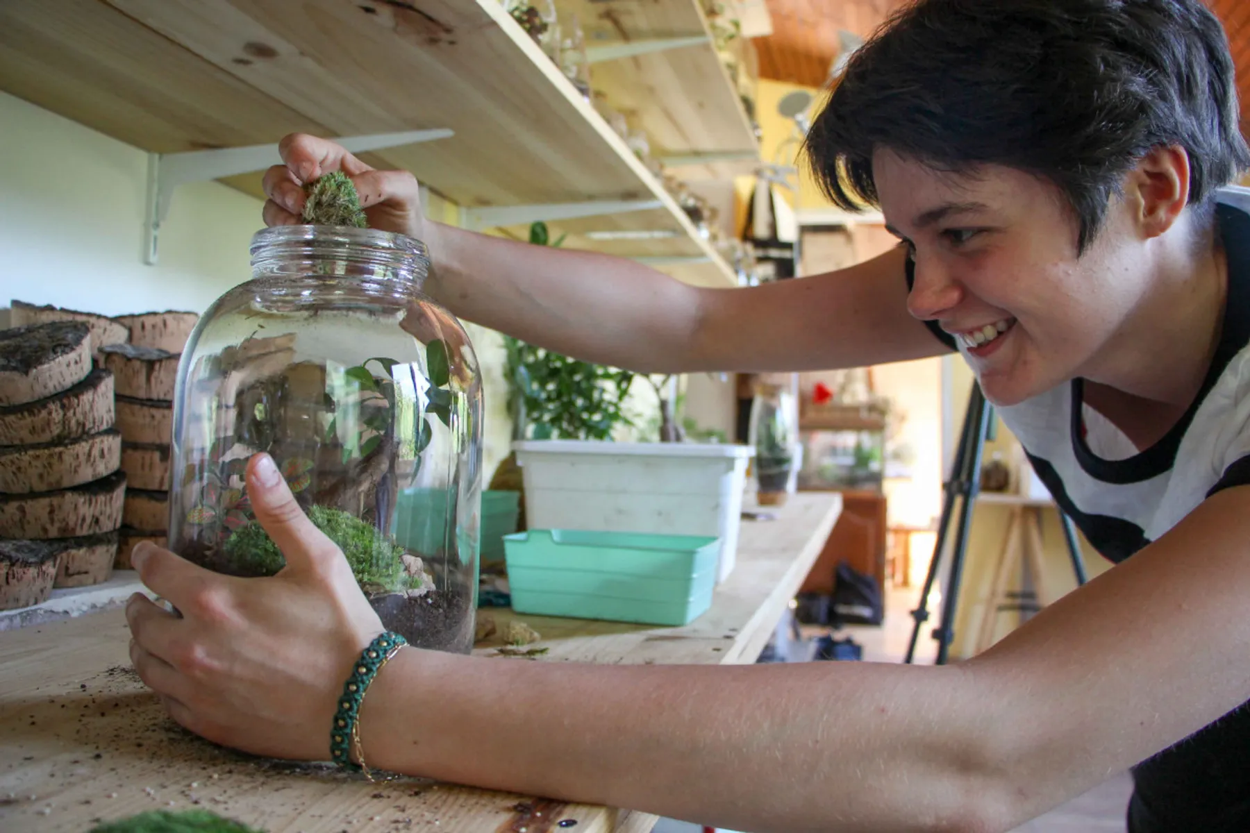 Composez votre terrarium - Image n°3 - Wecandoo