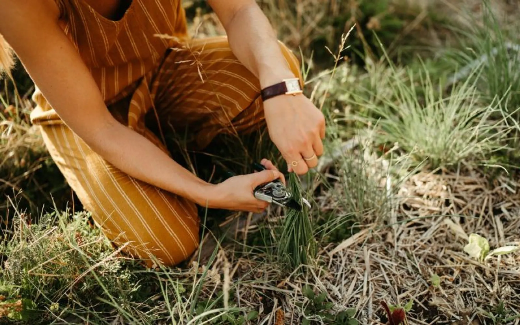 Découvrez la permaculture - Image n°2 - Wecandoo