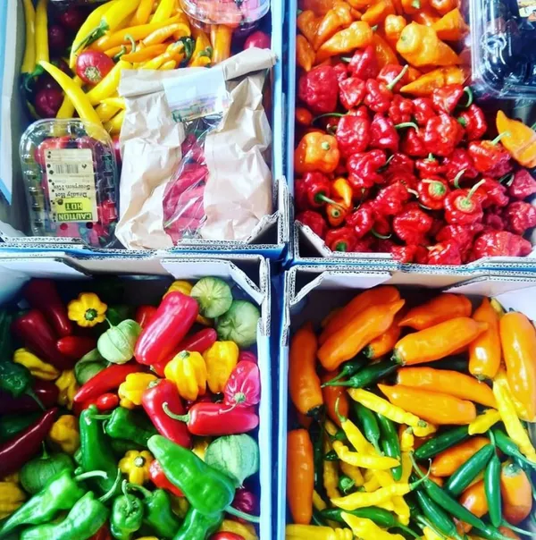Wecandoo - Make your own hot sauce