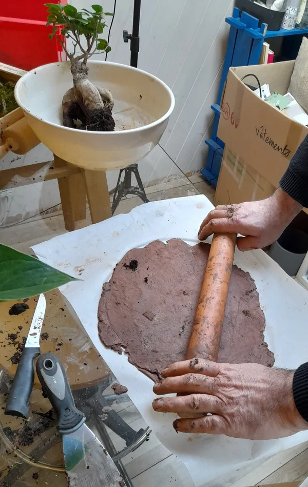 Réalisez votre kokedama - Image n°4 - Wecandoo