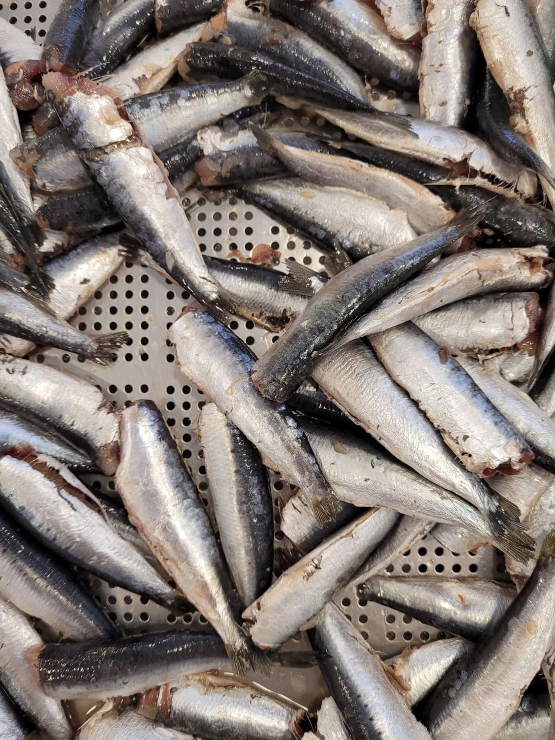 Mettez le meilleur des saisons en conserve - Image n°2 - Wecandoo