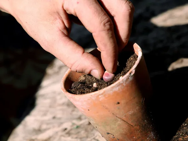 Découvrez la pépinière et concevez un baume végétal - Image n°4 - Wecandoo