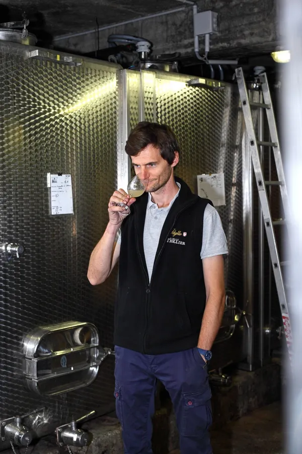 Dégustez des cépages alpins dans un domaine bio savoyard - Image n°2 - Wecandoo