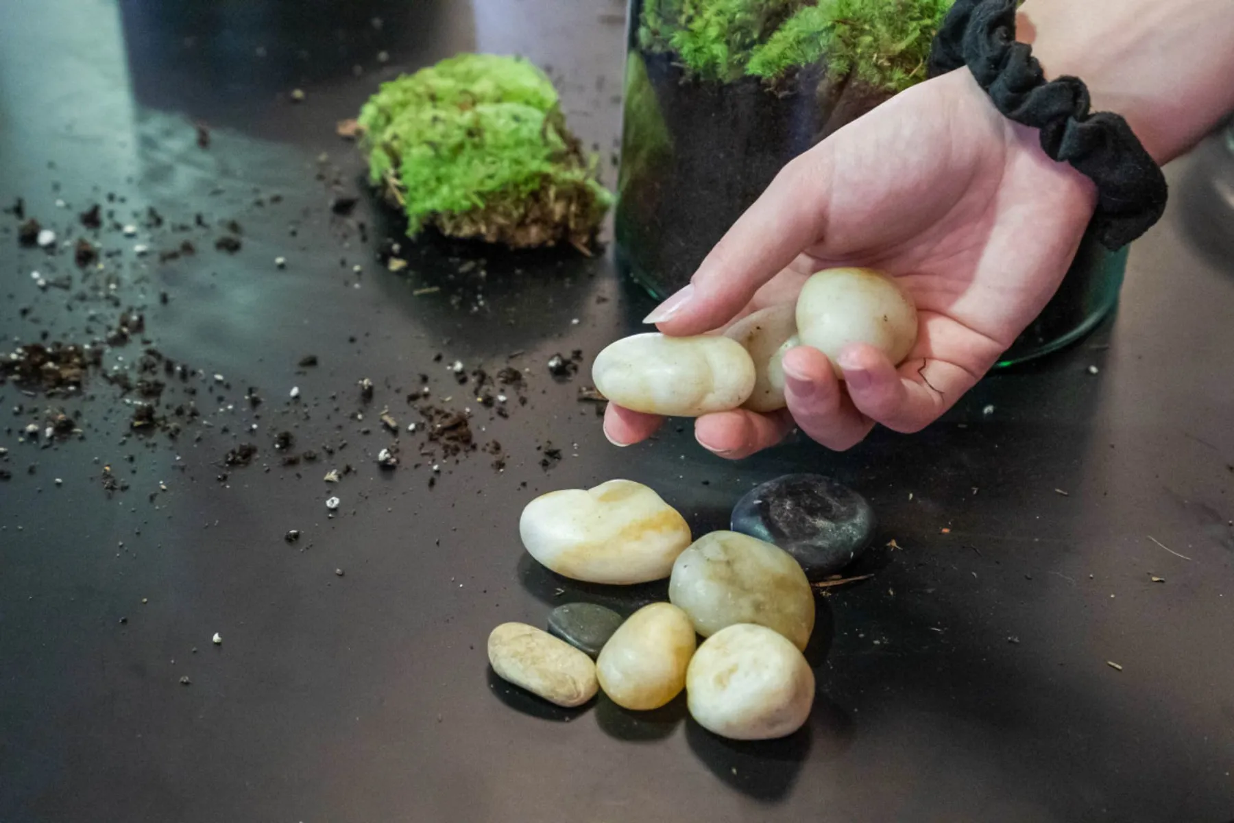 Créez votre terrarium - Image n°3 - Wecandoo