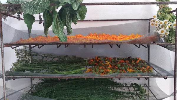 Apprenez l'art du séchage et repartez avec votre produit gourmand  à base de plantes - Image n°2 - Wecandoo