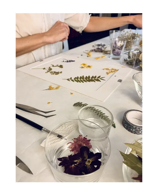 Composez votre herbier en fleurs séchées - Image n°3 - Wecandoo