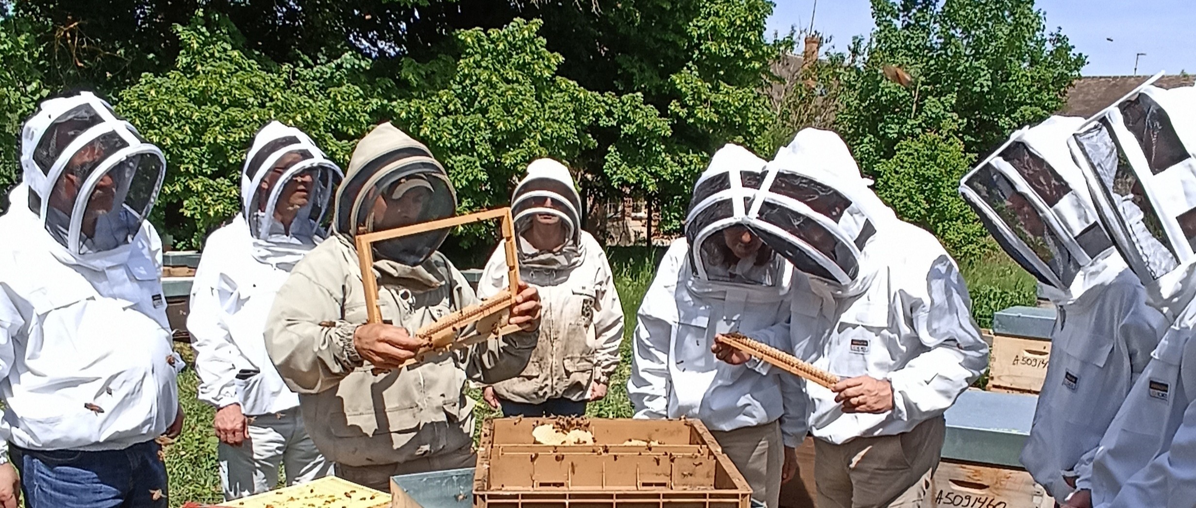 Wecandoo - Découvrez l'apiculture - Image n°2