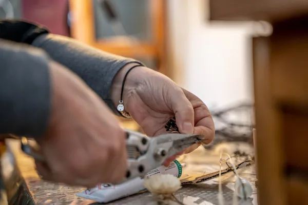 Composez votre bouquet de fleurs séchées avec Lydia - Image n°3 - Wecandoo