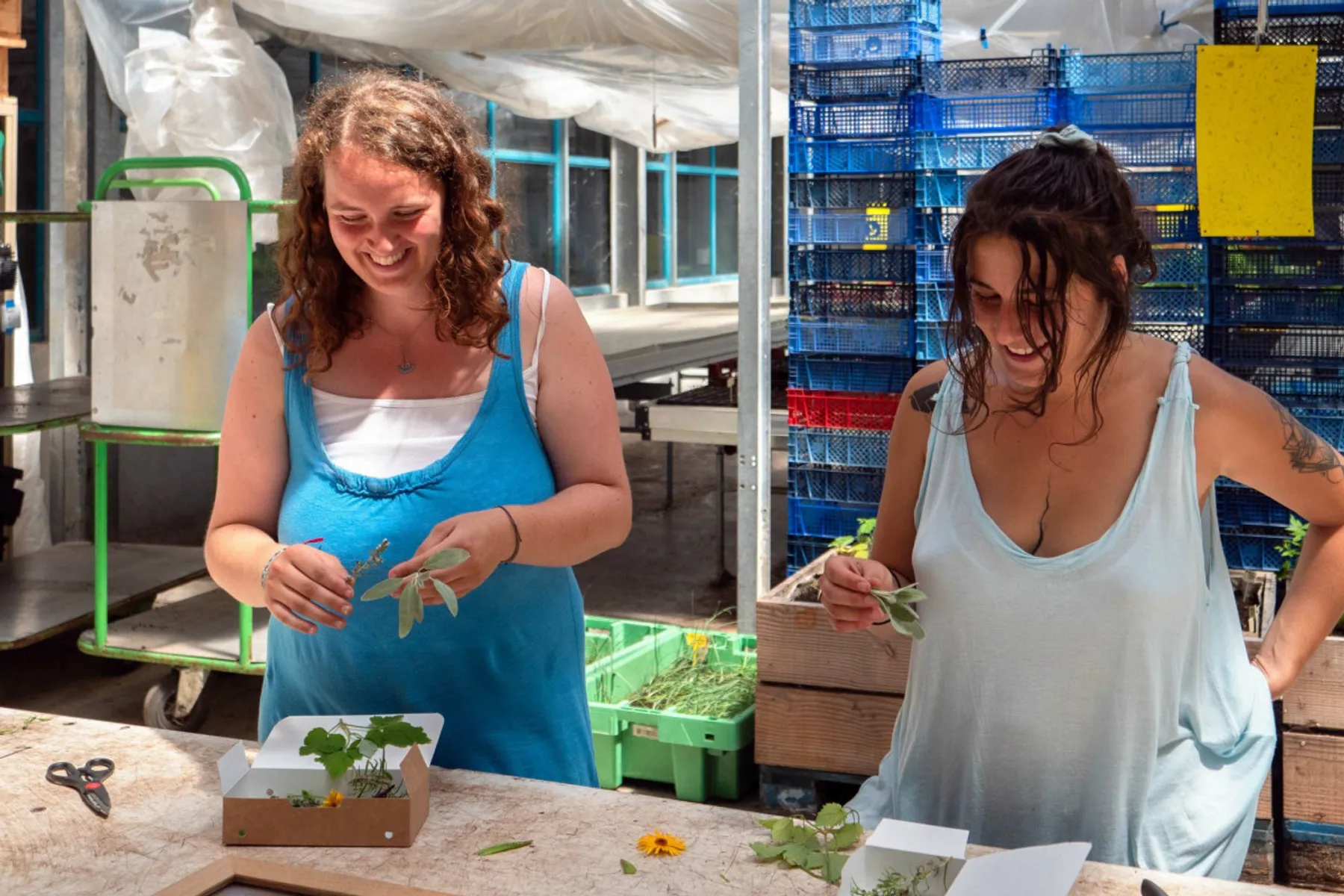 Réalisez vos semis et boutures de plantes favorites dans une ferme urbaine - Image n°4 - Wecandoo