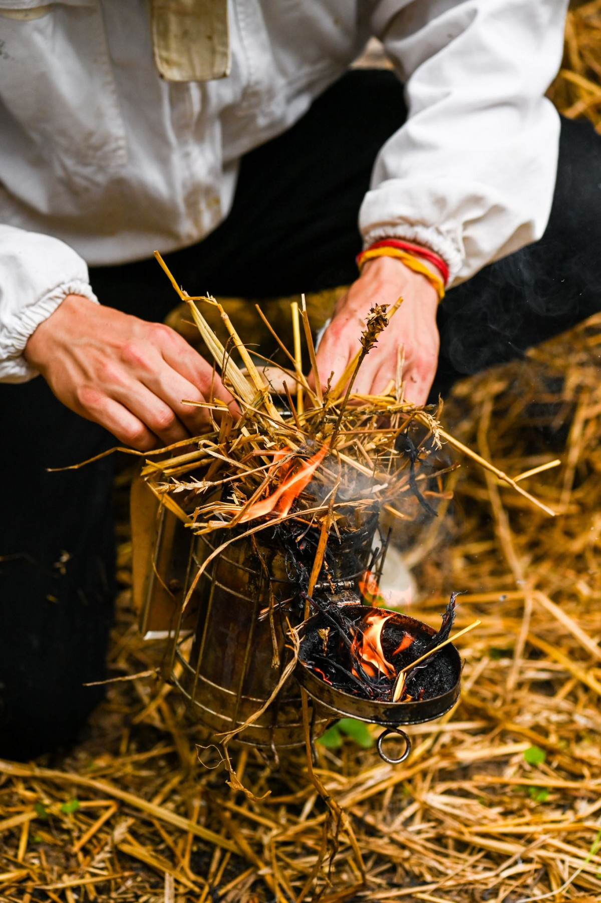 Wecandoo - Initiez-vous à l'apiculture durable - Image n°5