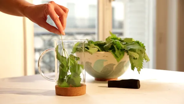 Réalisez votre crème bonne mine aux plantes sauvages - Image n°4 - Wecandoo