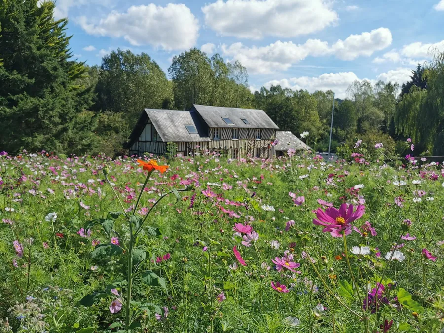 Découvrez l'art floral et visitez une ferme horticole avec Thomas et Charlotte - Image n°1 - Wecandoo
