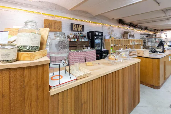 Découvrez la botanique lors d'une balade en ville - Image n°1 - Wecandoo