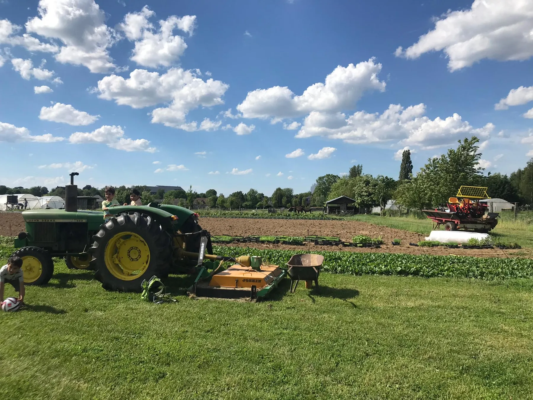 Pick and cook edible flowers - Afbeelding nr. 1 - Wecandoo