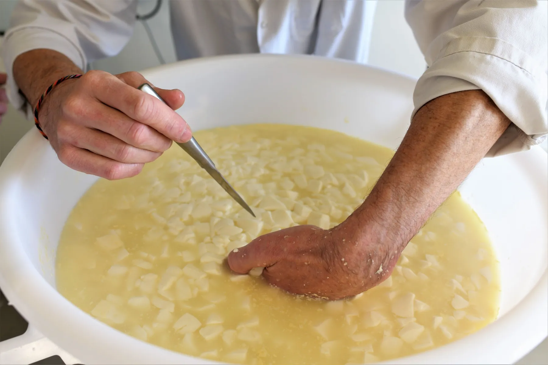 Fabriquez votre beurre et votre fromage de chèvre frais - Image n°2 - Wecandoo