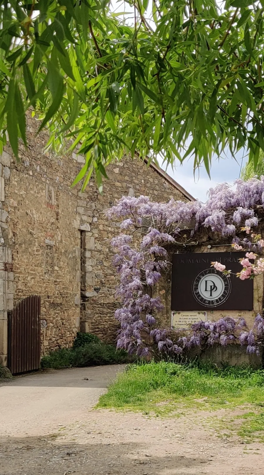 Visitez un domaine viticole en biodynamie et dégustez sept vins autour d'un mâchon lyonnais - Image n°1 - Wecandoo