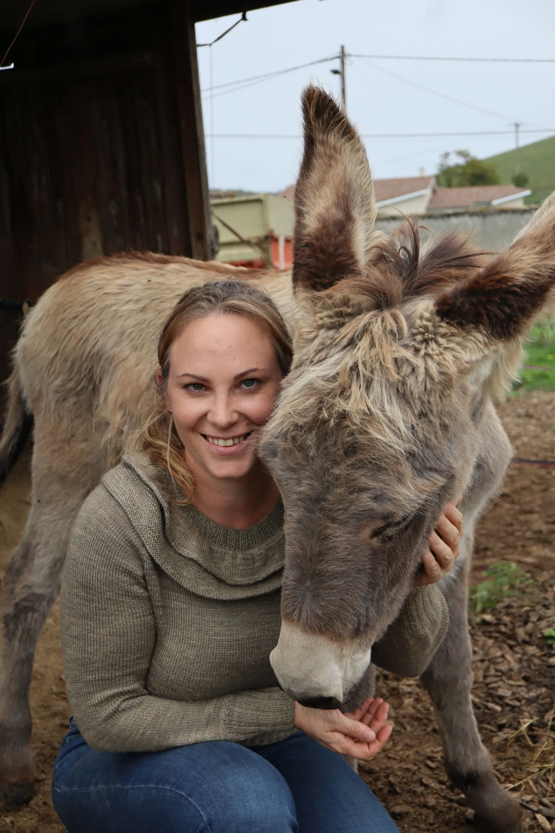 Fabriquez vos savons au lait d'ânesse - Image n°2 - Wecandoo