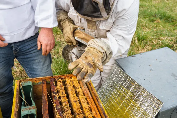 Wecandoo - Initiez-vous à l'apiculture