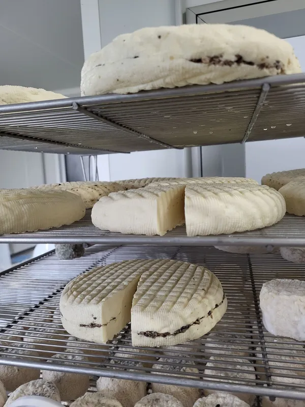 Wecandoo - Vivez la vie d'un chevrier-fromager - 2J