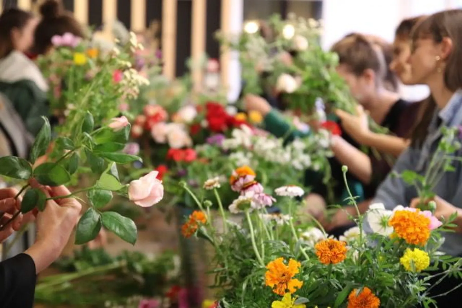 Visitez une ferme de fleurs et réalisez votre botte - Afbeelding nr. 4 - Wecandoo