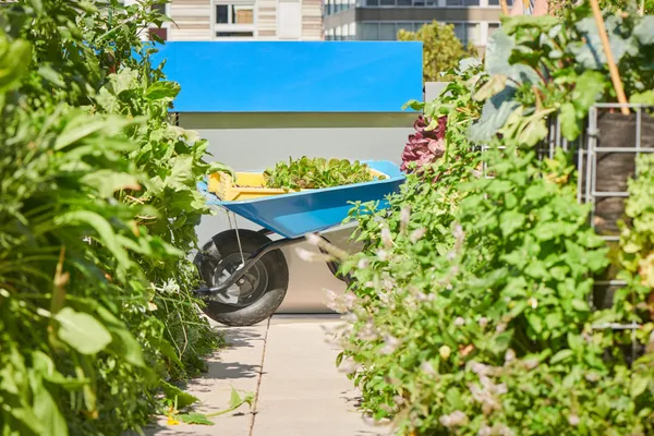 Wecandoo - Visitez une ferme urbaine