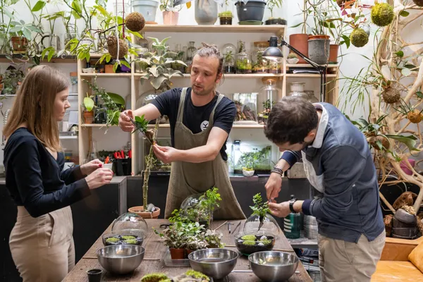 Créez votre terrarium sphérique - Image n°3 - Wecandoo