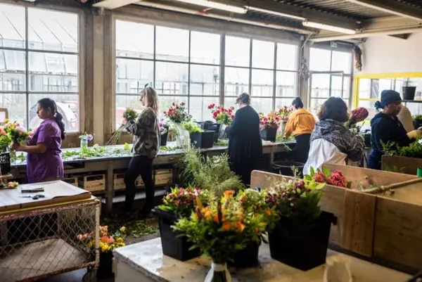 Visitez une ferme de fleurs et réalisez votre botte - Image n°2 - Wecandoo