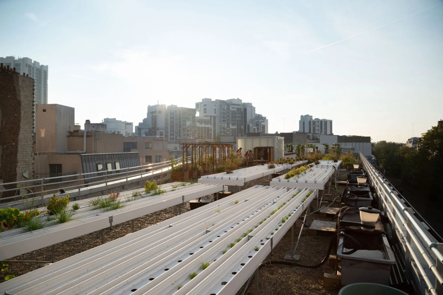 Visitez une ferme urbaine en plein Paris - Afbeelding nr. 2 - Wecandoo