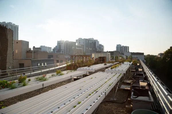 Visitez une ferme urbaine en plein Paris - Image n°2 - Wecandoo