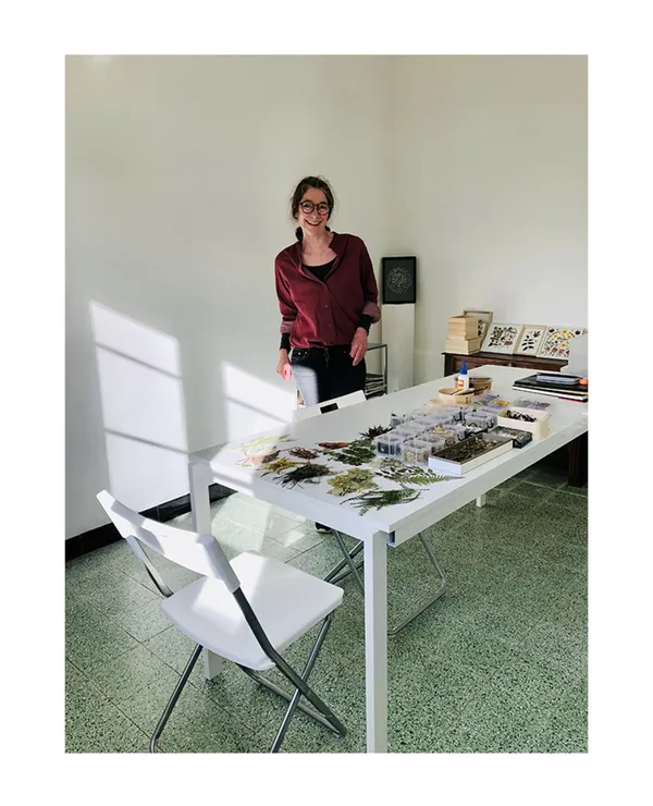 Composez votre herbier en fleurs séchées - Image n°1 - Wecandoo