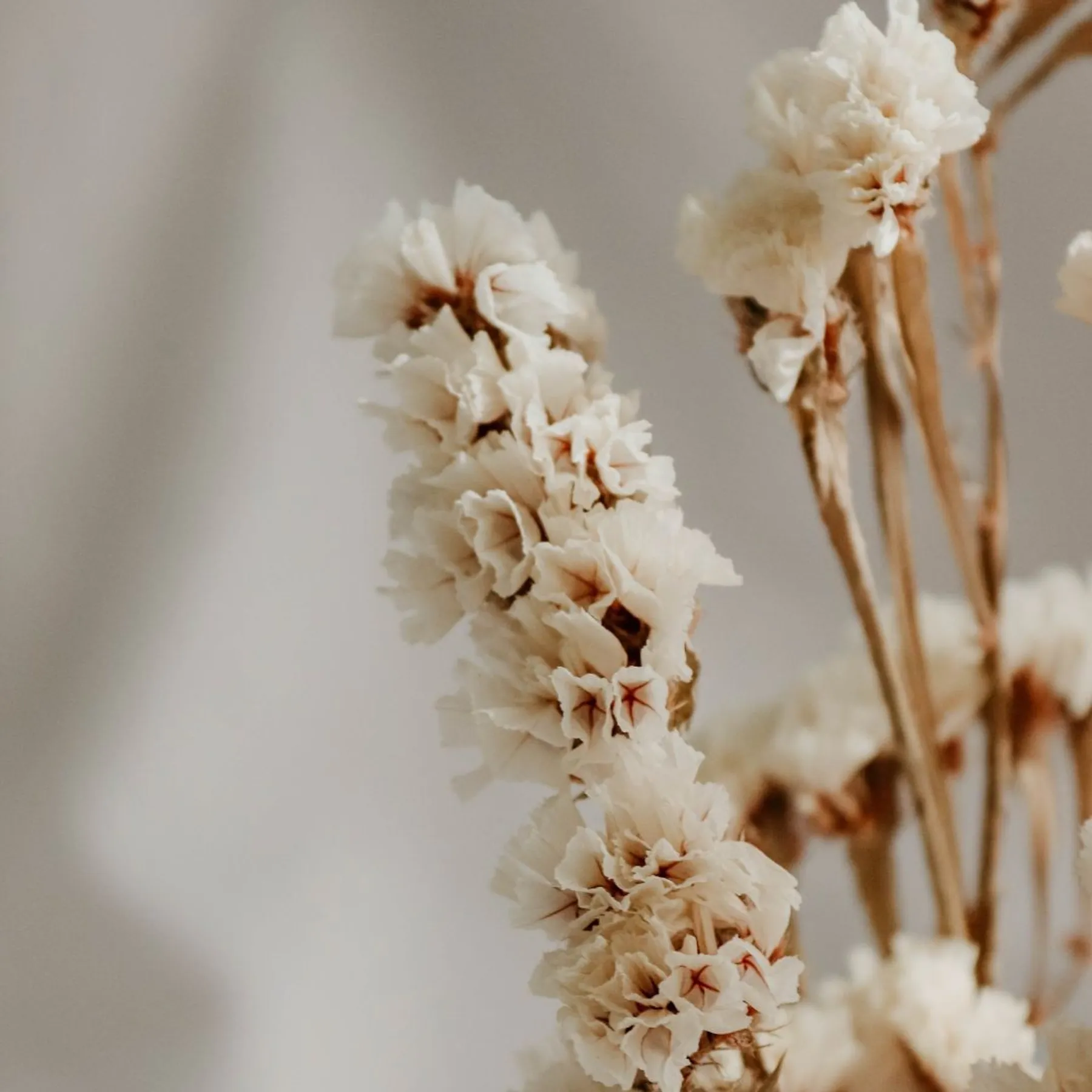 Réalisez votre couronne de fleurs séchées - Image n°1 - Wecandoo