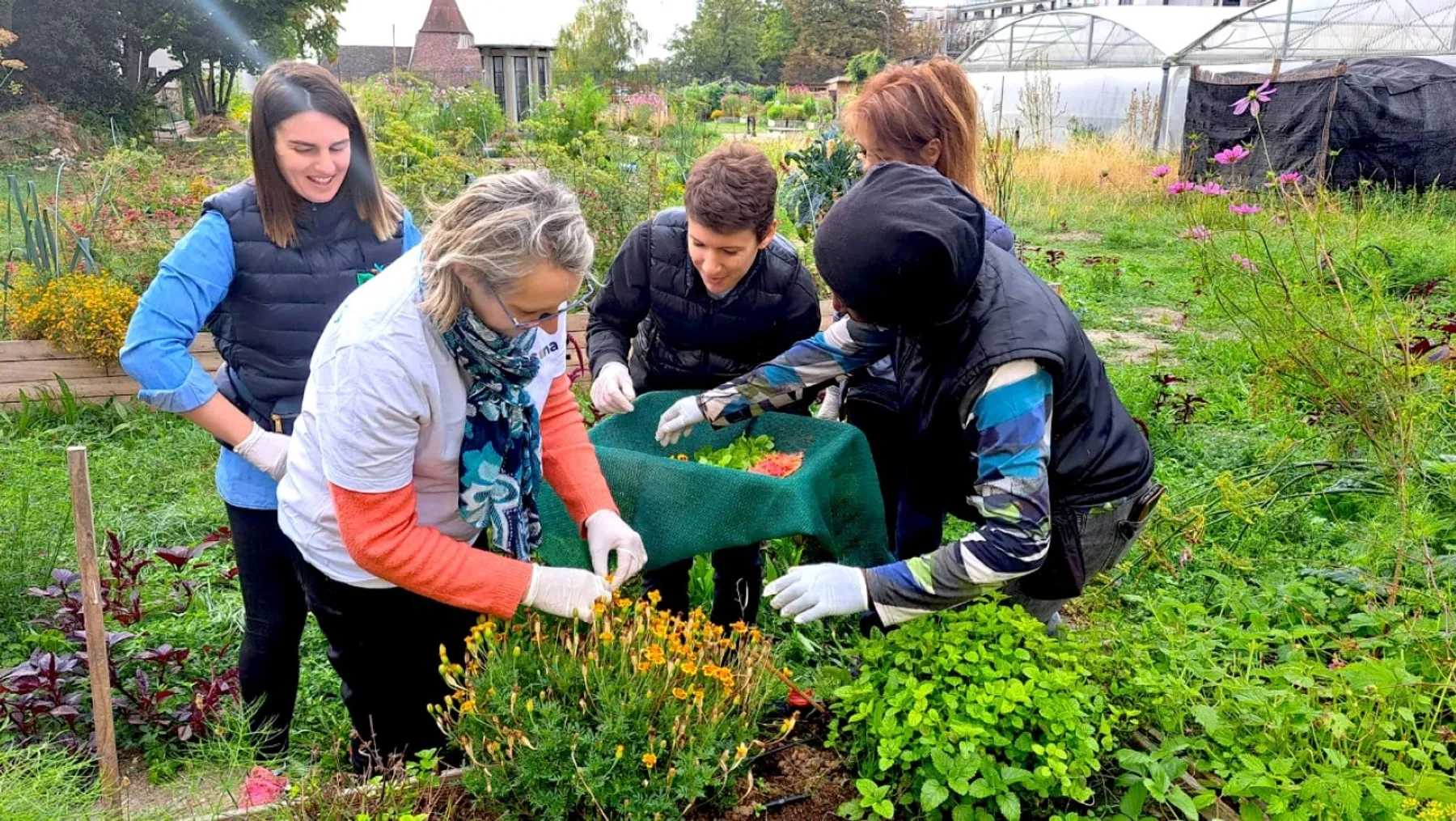 Inspirez votre équipe et découvrez ensemble la culture agroécologique - Image n°5 - Wecandoo