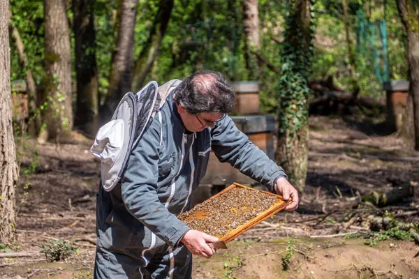 Wecandoo - Initiez-vous à l'apiculture