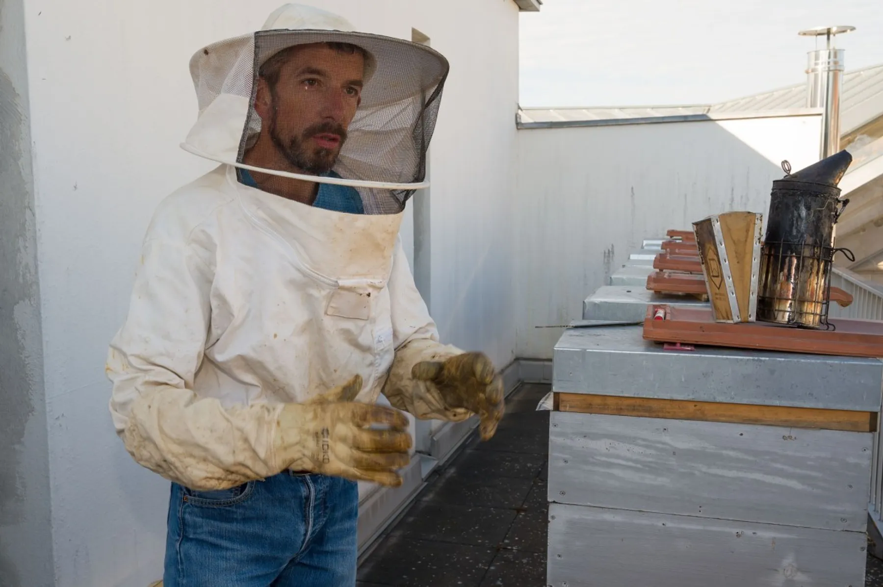 Découvrez l'apiculture - Image n°1 - Wecandoo
