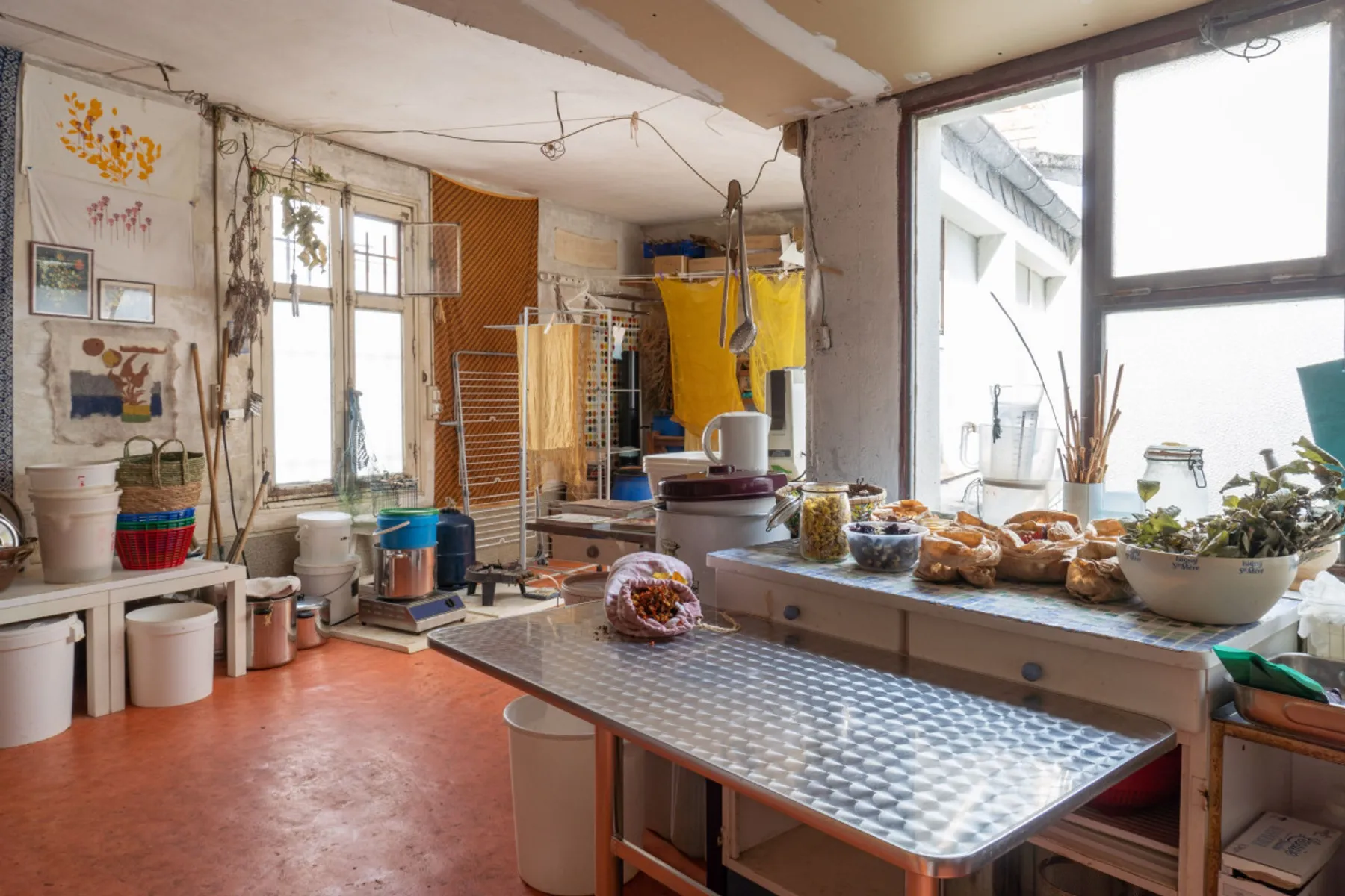 Initiez-vous à la teinture végétale au bouillon - Image n°1 - Wecandoo