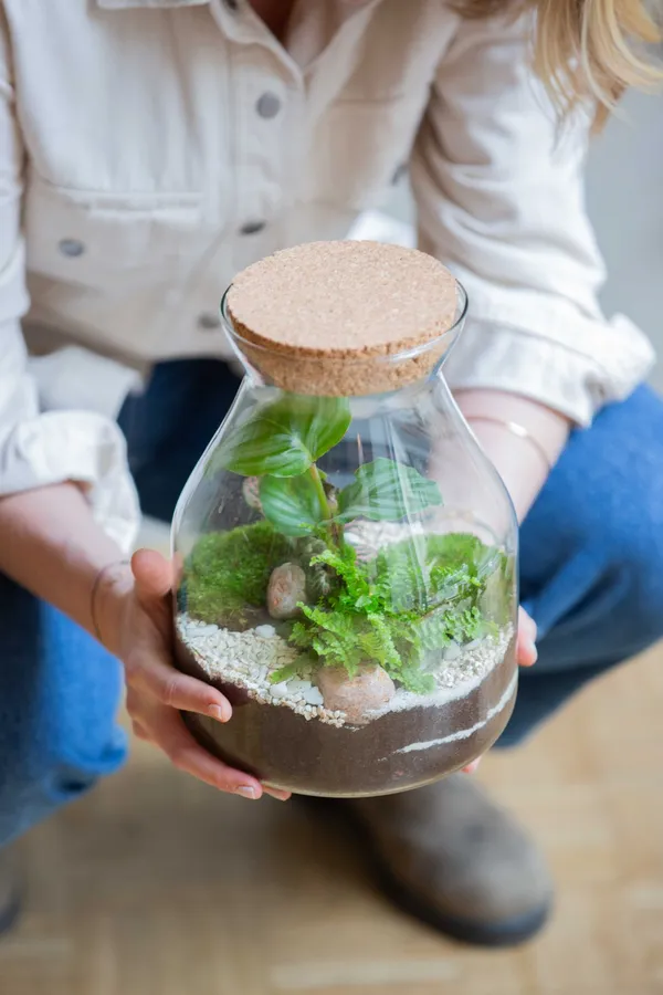 Wecandoo - Composez votre terrarium