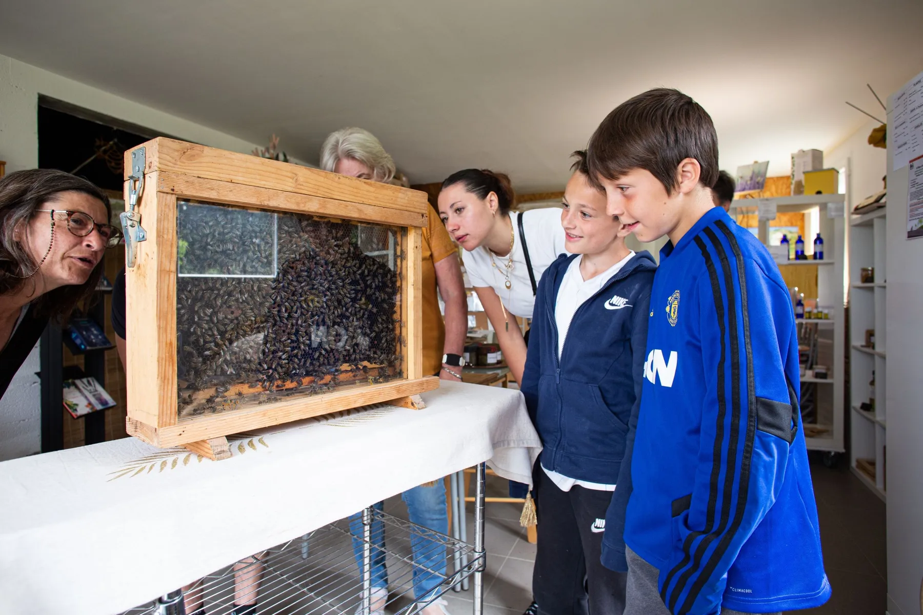 Découvrez l'univers de la ruche - Image n°2 - Wecandoo