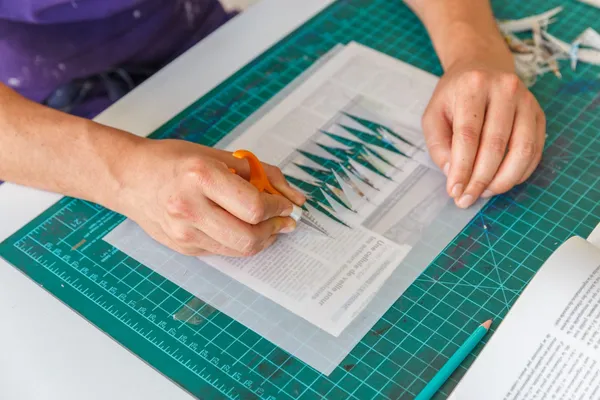 Fabriquez vos encres végétales et sérigraphiez vos images - Image n°4 - Wecandoo